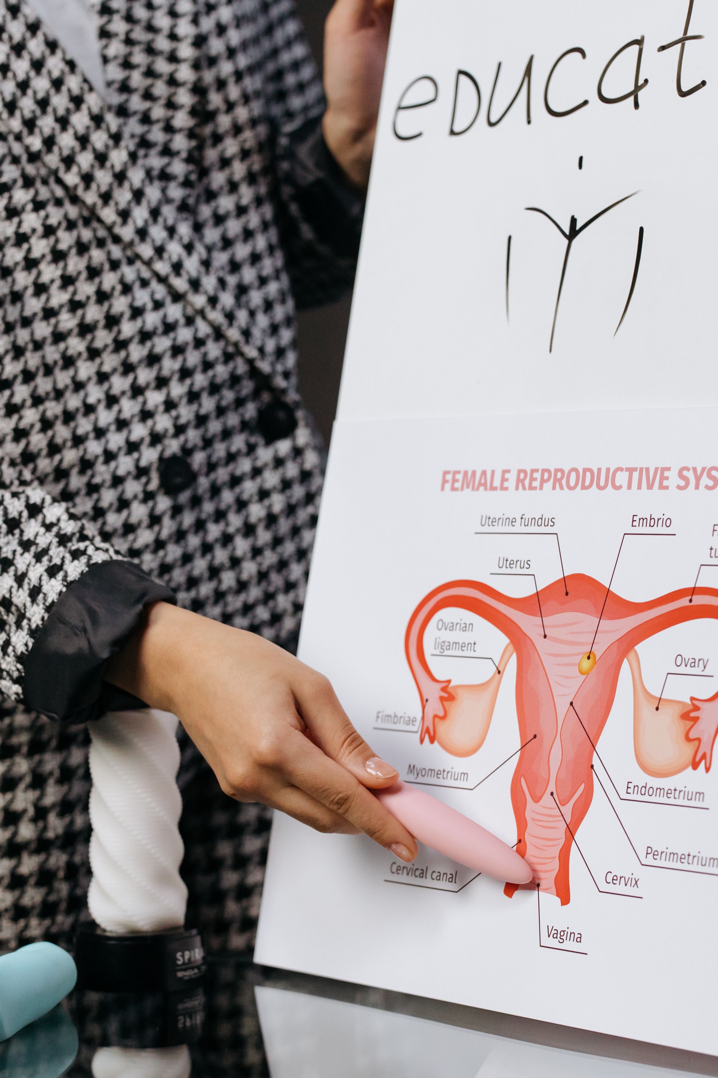 Material educativo sobre saúde reprodutiva feminina
