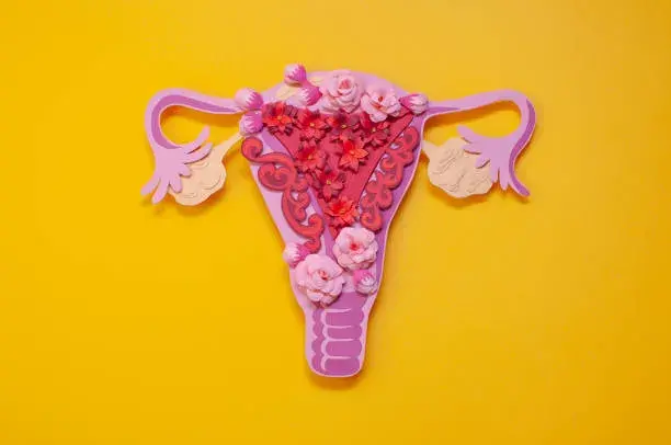 O Que é Endometriose