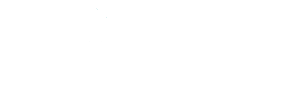Dr Renato